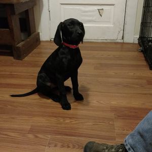 Meet your Posher, Val